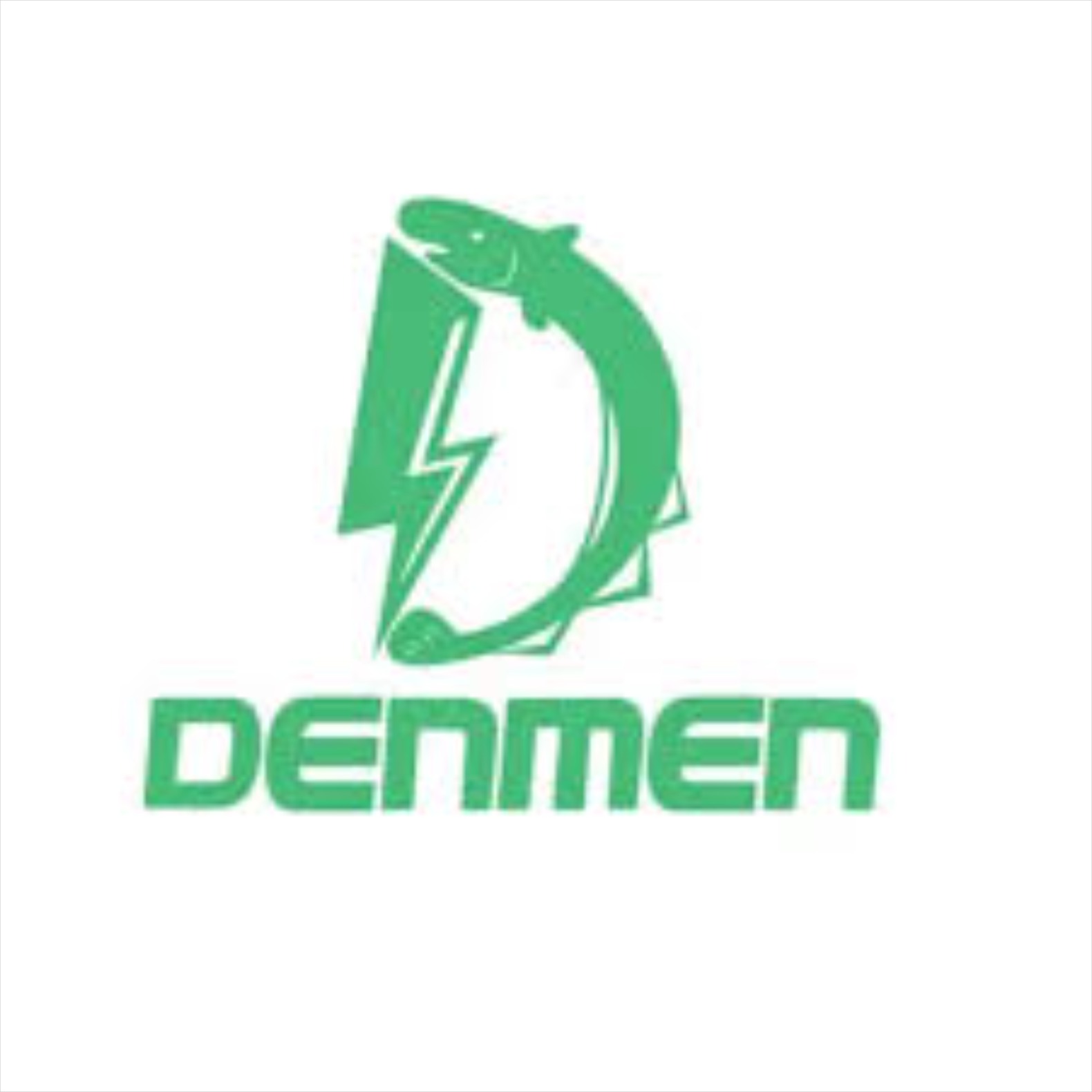 لوگو و محصولات شارژر برند Denmen شارژر دیواری و پاوربانک دِنمن